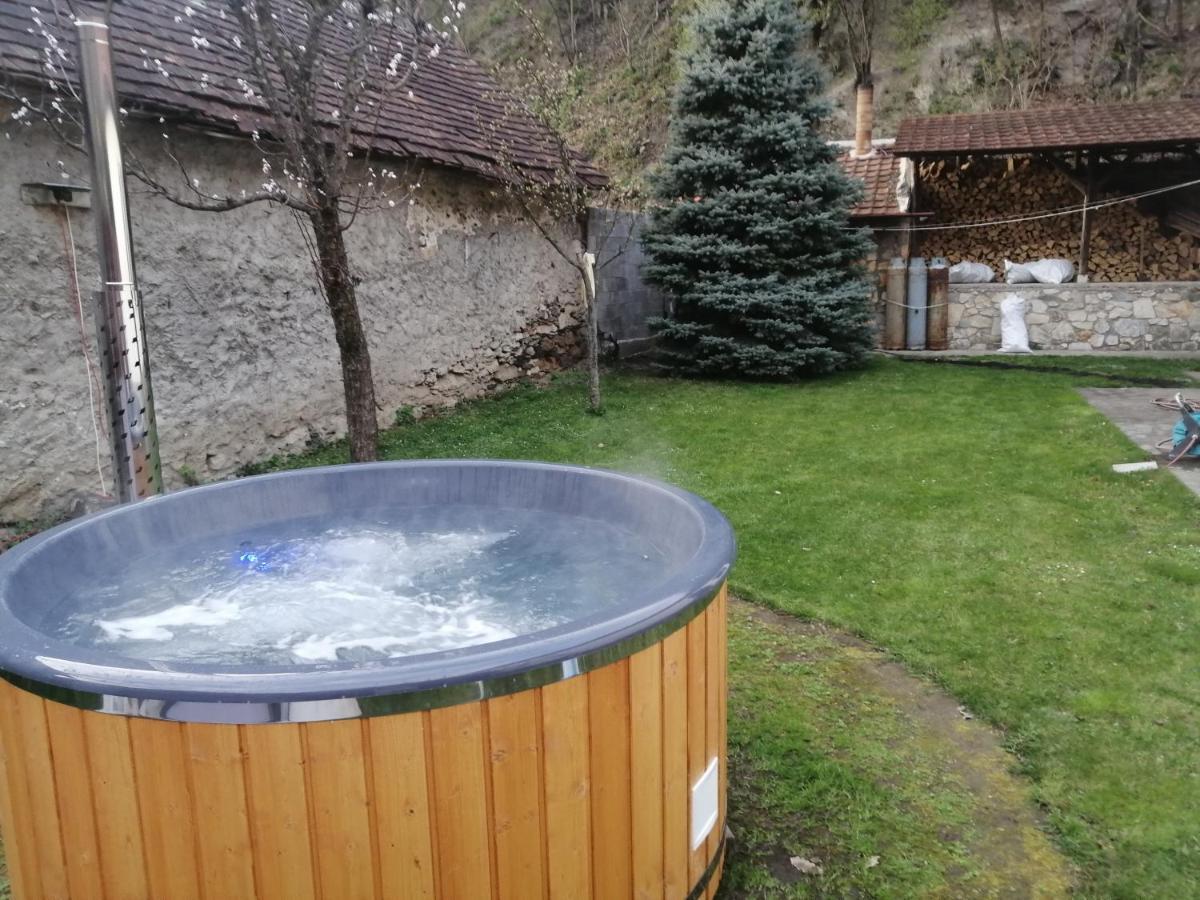 蒙大拿萨斯卡度假屋 Sasca Montană 外观 照片