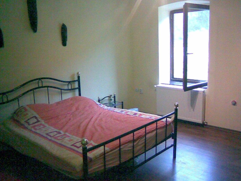 蒙大拿萨斯卡度假屋 Sasca Montană 客房 照片