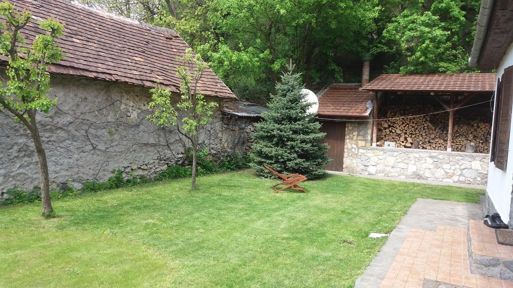 蒙大拿萨斯卡度假屋 Sasca Montană 外观 照片
